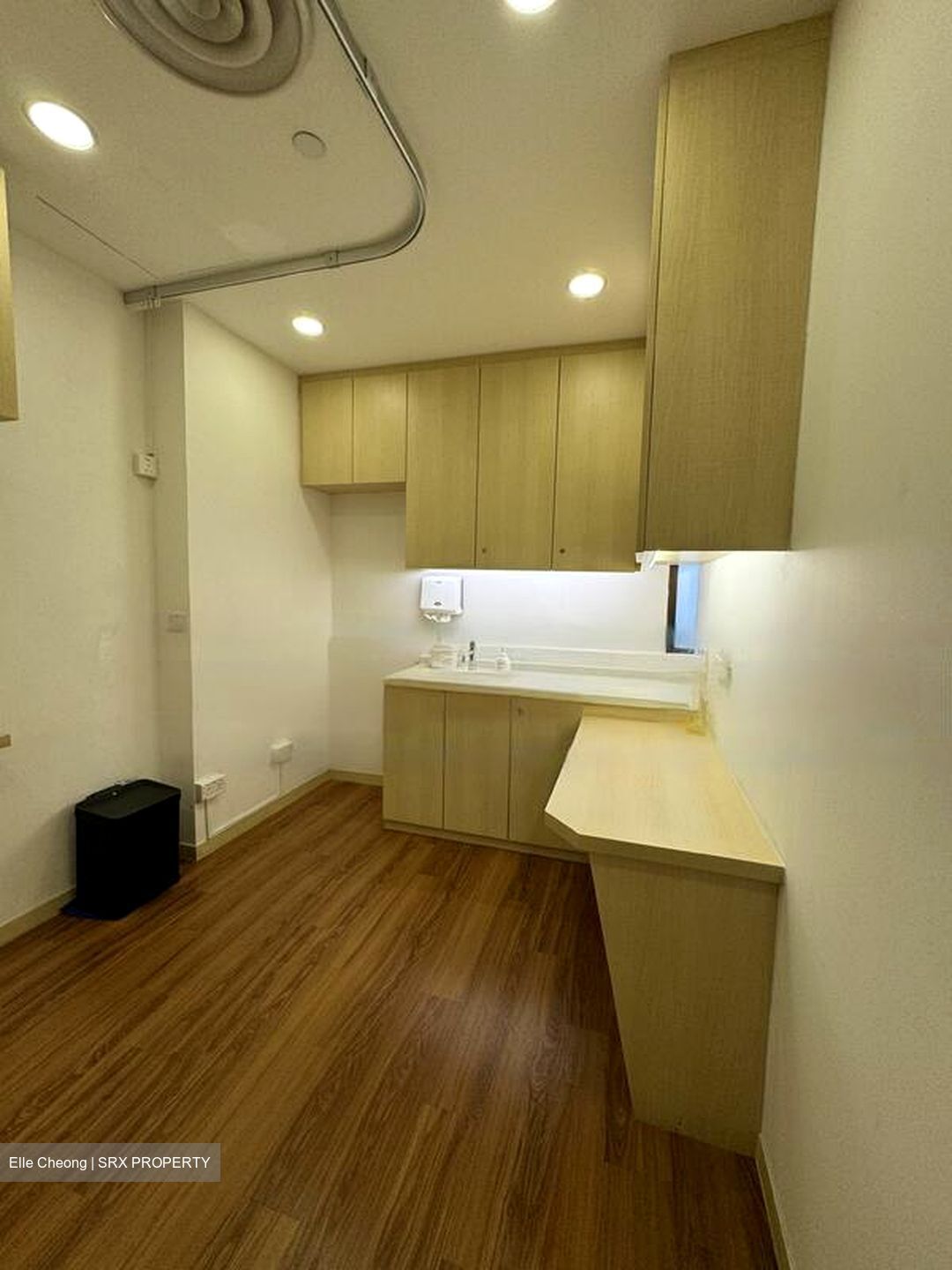 Gleneagles Hospital (D10), Retail #453392901